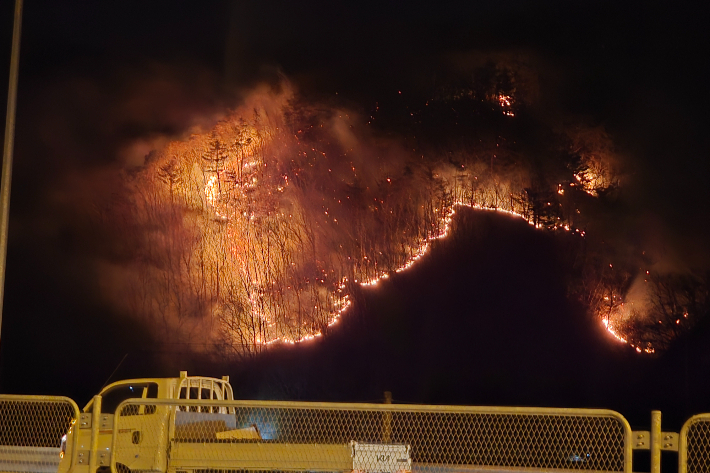 경북 경주시 문무대왕면에서 발생한 산불. 독자제공