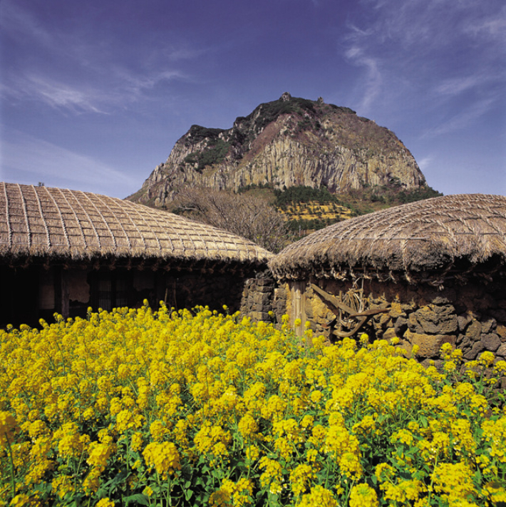 산방산가 초가. 제주도관광협회 제공