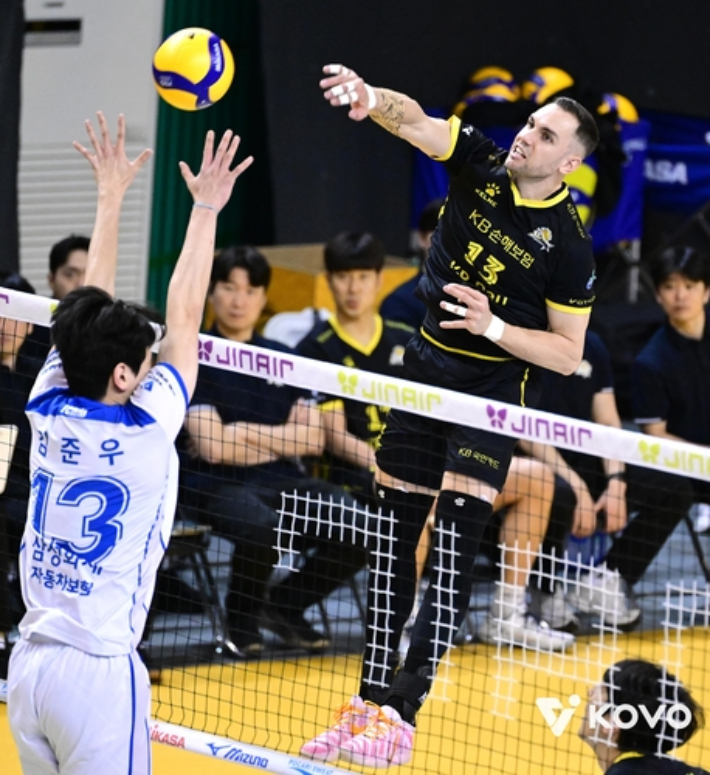 KB손해보험 비예나의 강타 모습. KOVO 