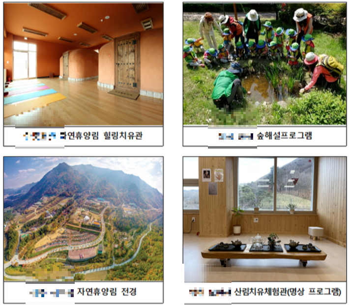 자연휴양림 모습. 기사와 직접적인 연관 없음. 경북도 제공