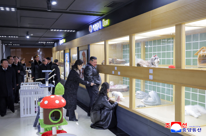 평양 화성지구 4단계 1만세대 살림집 준공식이 16일 진행되었다고 조선중앙통신이 17일 보도했다. 연합뉴스