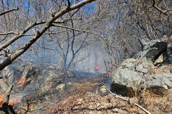 지난 17일 낮 12시 10분쯤 원주시 판부면 서곡리의 한 야산에서 불이 나 약 30분 만에 진화됐다. 강원소방본부 제공 