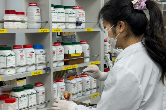 노로바이러스 검사. 전라남도 보건환경연구원 제공