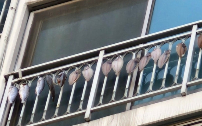 당근마켓 '동네생활 게시판' 캡처