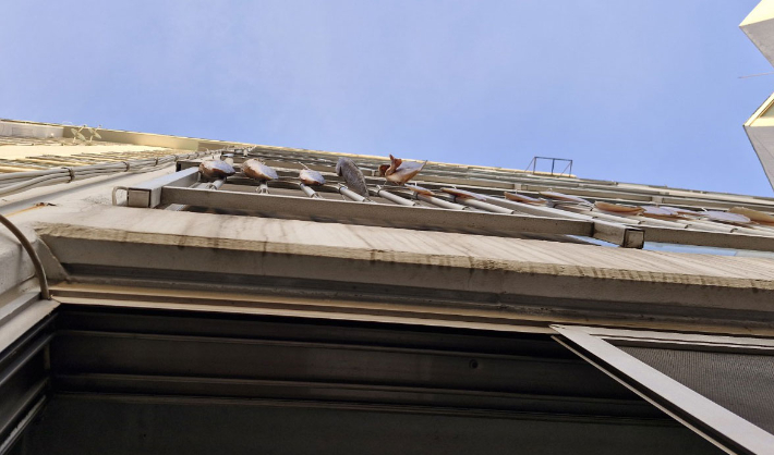 당근마켓 '동네생활 게시판' 캡처