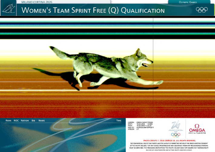 결승선을 통과한 개. 오메가 제공