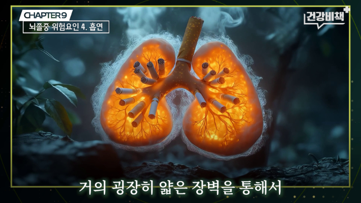 서울대학교병원 이승훈 교수 편 '건강비책' 유튜브 캡처