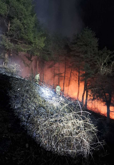 22일 오전 발생한 강릉 구정면 산불 현장에 투입된 진화 인력일 불을 끄고 있는 모습. 강원소방본부 제공