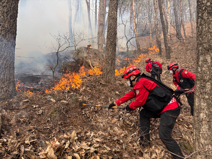 산림청 산불재난특수진화대원 산불 진화. 서부지방산림청 제공 