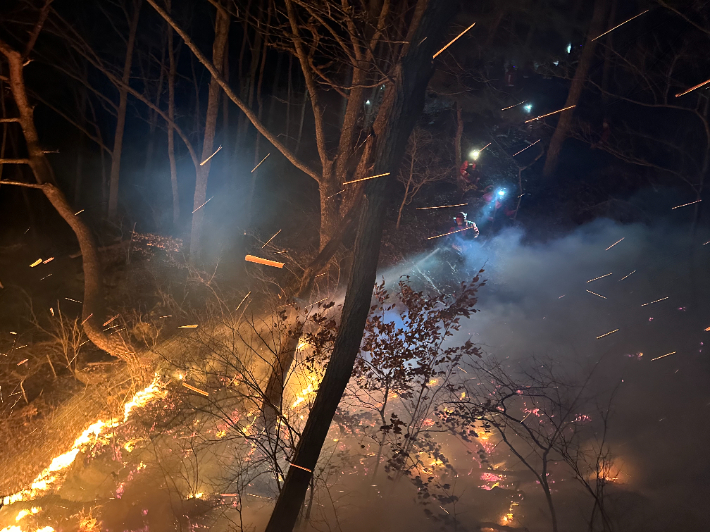 산불재난특수진화대 산불 야간 진화. 산림청 제공 