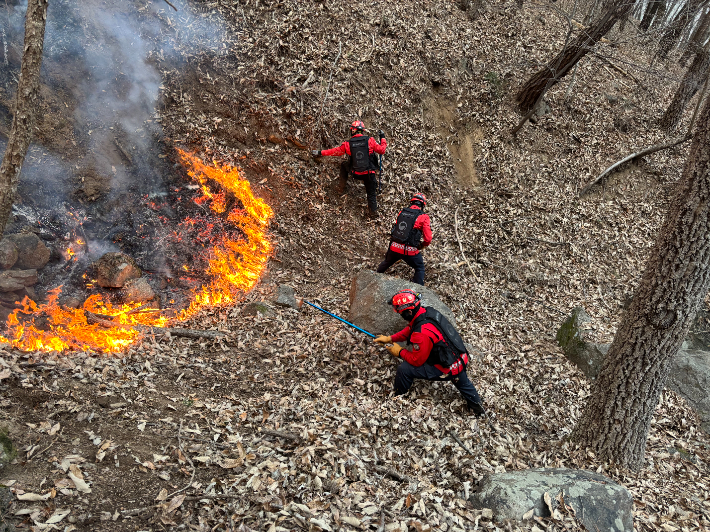 산불재난특수진화대 산불 진화. 산림청 제공 
