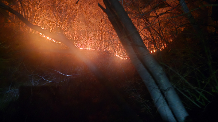 함양 산불. 산림청 제공 