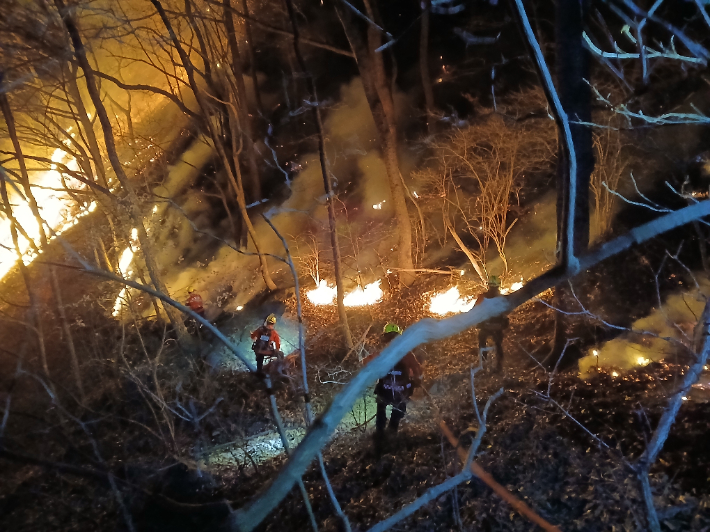 함양 산불. 산림청 제공 