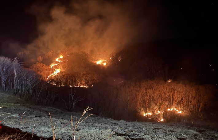 경북소방본부 제공
