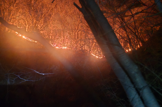 함양 산불. 산림청 제공