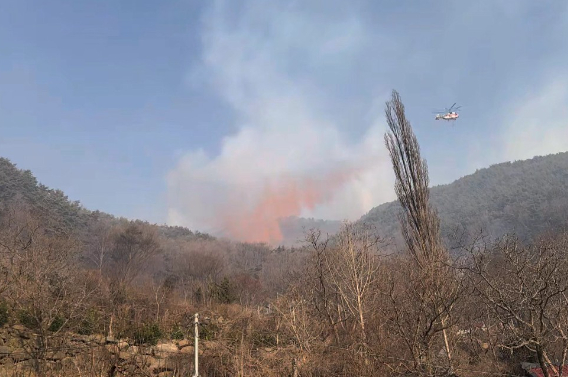 경남 함양 산불. 산림청 제공