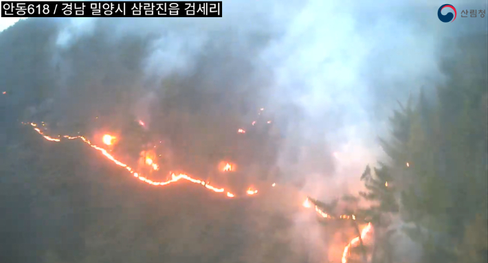 밀양 산불. 산림청 제공 