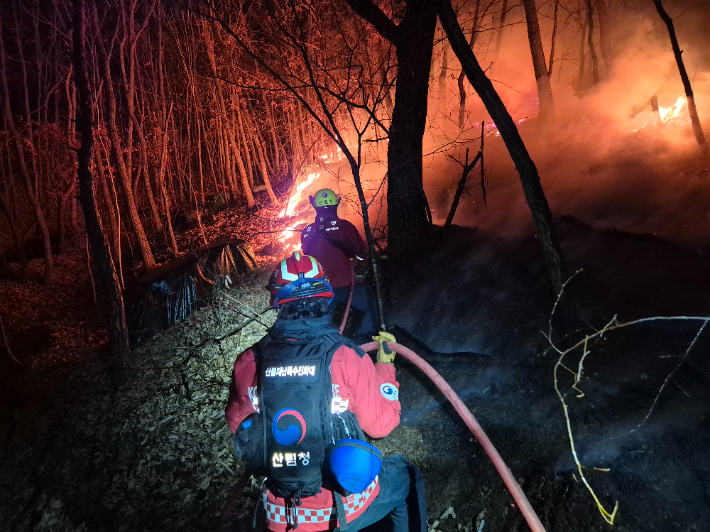 밀양 산불 진화. 산림청 제공 