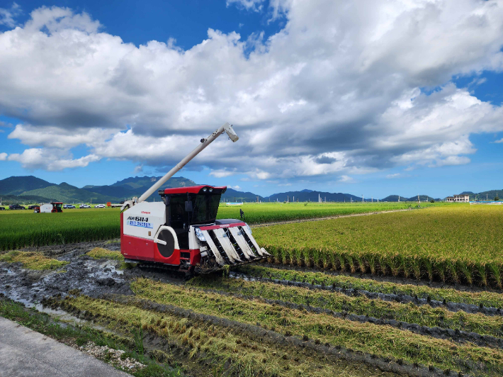 벼 수확. 전라남도 제공