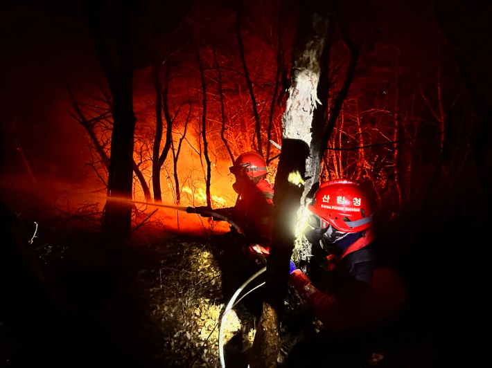 밀양 산불 진화. 산림청 제공 