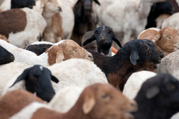 스마트이미지 제공