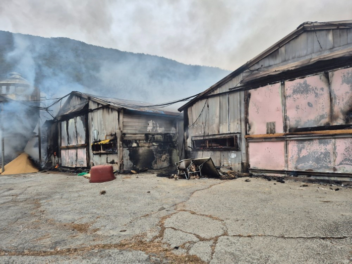 23일 충남 보령시의 한 양계장에서 불이 났다. 보령소방서 제공