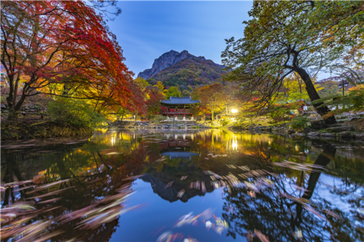 내장산 국립공원. 국립공원공단 제공
