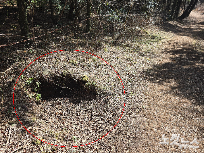 지난 22일 서귀포시 람사르습지 물영아리오름 일대가 크게 파헤쳐진 모습. 이창준 기자