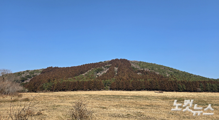 지난 22일 취재진이 다녀간 물영아리오름 전경. 이창준 기자