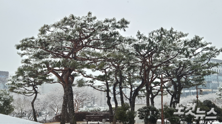 24일 오후 눈이 내리고 있는 모습. 심동훈 기자