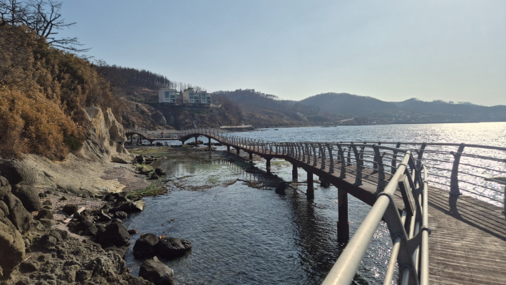  포항 호미반도 해안둘레길 2코스. 포항시 제공