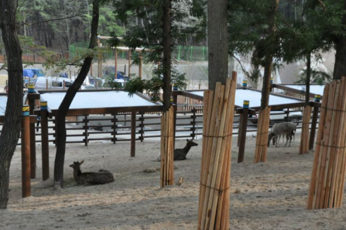 부산시가 삼정더파크를 매수해 공립동물원으로 전환할 계획이다. 부산시 제공