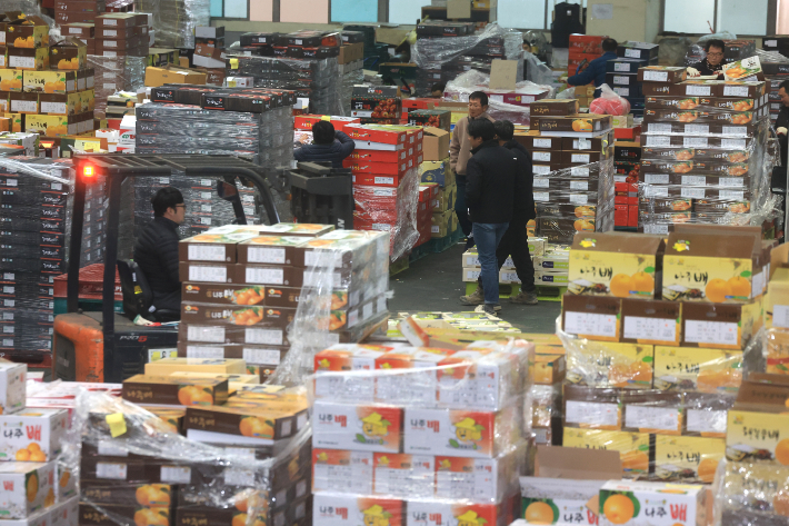 설 대목 앞둔 농산물공판장 '활기'. 연합뉴스