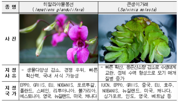 유입주의 외래생물 지정 사례. 기후에너지환경부 제공