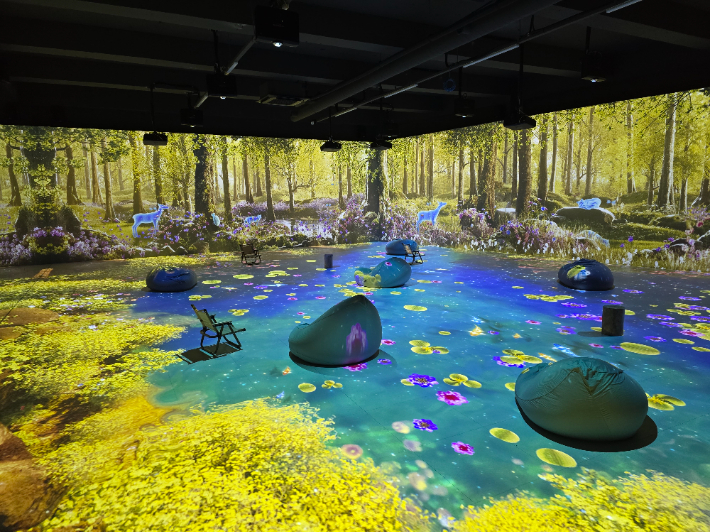 온빛포레스트 미디어아트관. 강릉시 제공