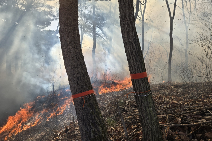 25일 오후 3시 14분쯤 강원 인제군 인제읍 덕적리에서 산불이 발생했다. 산림당국 제공