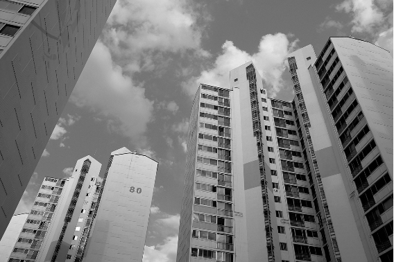 스마트이미지 제공