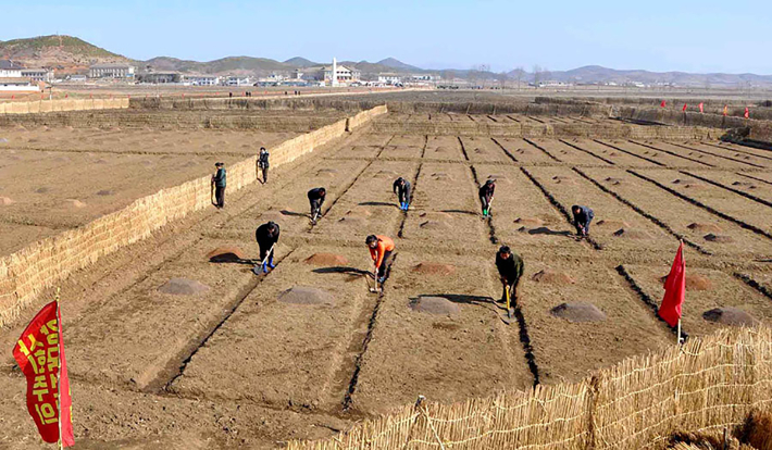 북한 벼 모판 씨뿌리기. 연합뉴스