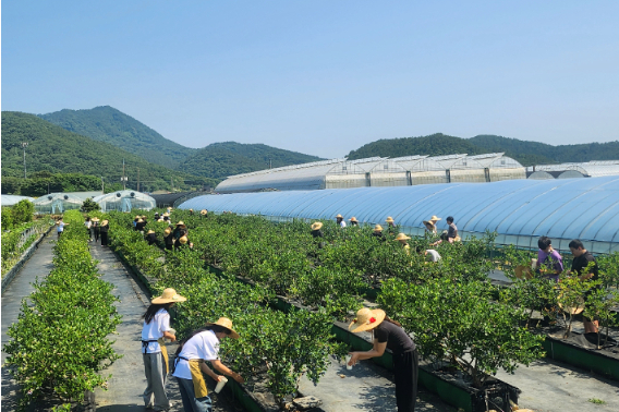 기사와 직접적 관련 없음. 경남도청 제공