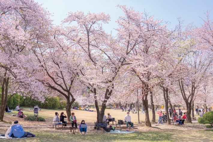 서울어린이대공원 사진. 서울시설공단 제공