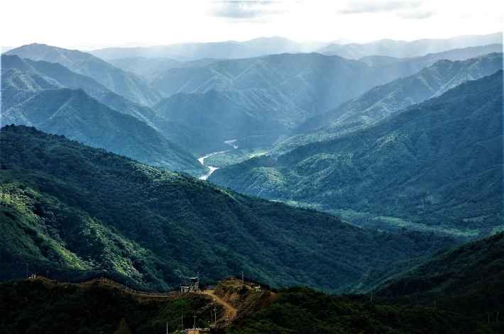과거 원시림 있던 강원 고성군 수동면 일대. 녹색연합 제공