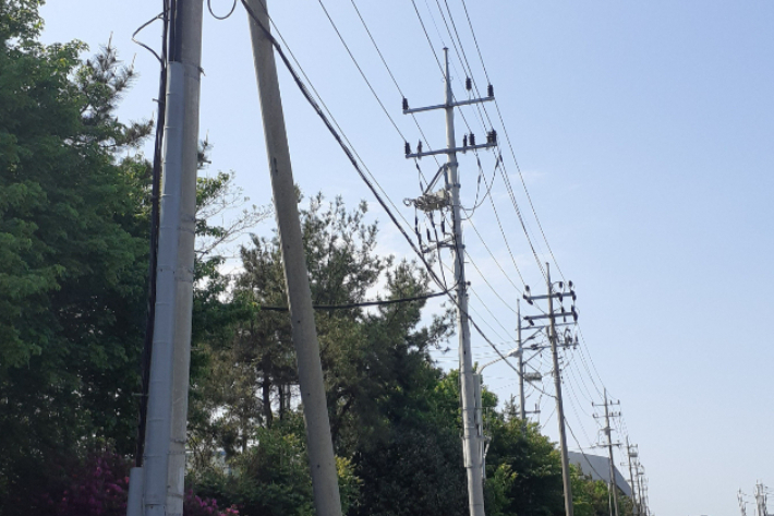 독자 이해 위한 사진으로 기사와 직접적 관련 없음. 전라남도 제공