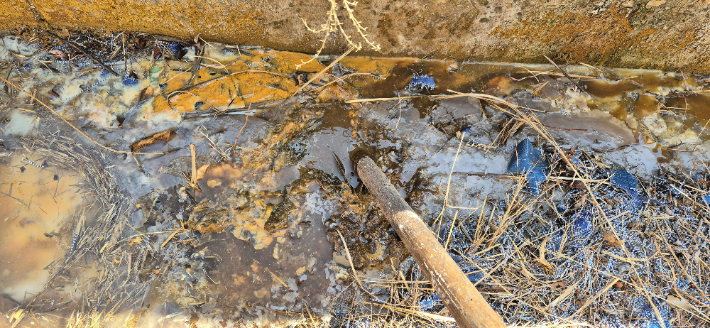 대체녹지 구간에서 발생한 침출수. 여수환경운동연합 제공