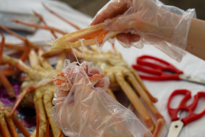 울진대게와 붉은대게 축제. 울진군 제공