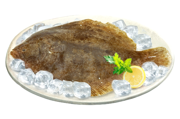 3월 '이달의 수산물'로 선정된 도다리.해양수산부 제공