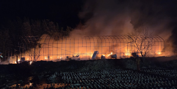 경주시 조양동 고물상 비닐하우스 화재. 경북소방본부 제공