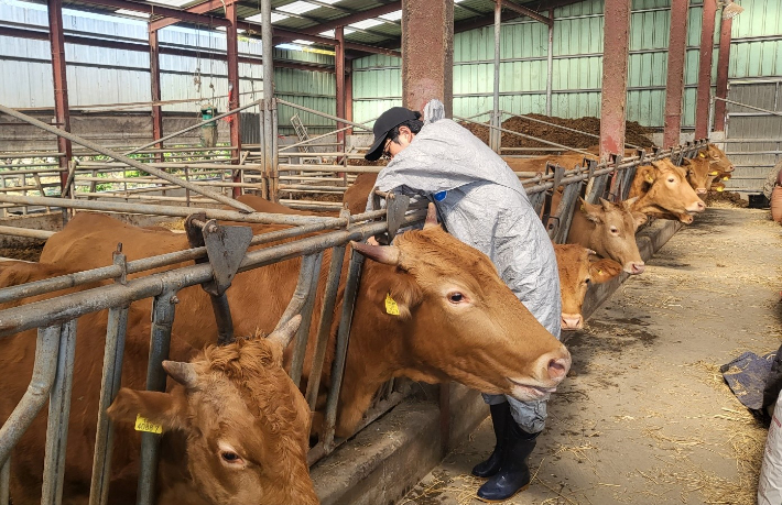 백신접종. 창원시 제공 