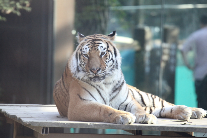 위 사진은 기사와 직접적인 관련 없음. 연합뉴스