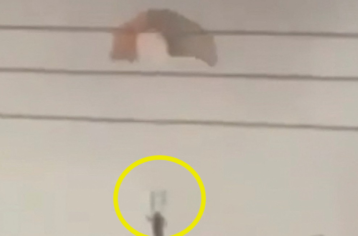 쿠웨이트 알자흐라 지역에서 한 사람이 낙하산을 타고 내려오고 있는 모습. 연합뉴스