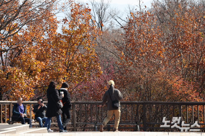 기사와 연관 없음. 류영주 기자